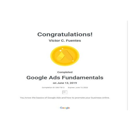 Google Ads Search Certification | PDF