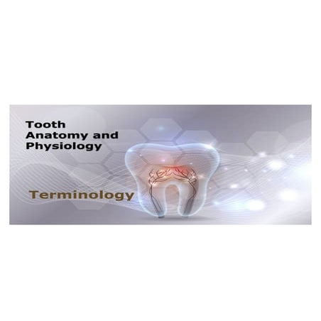 Dental Terminology | PPT
