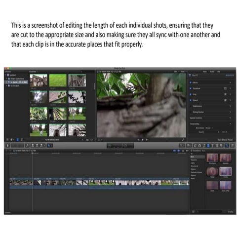 Screenshots analysis | PPTX