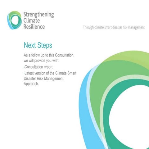 Scr next steps   regional consultation