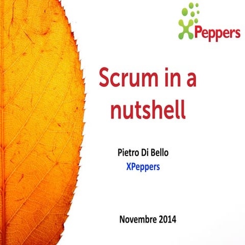 Scrum In A Nutshell