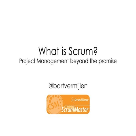 What is Scrum? Project Management beyond the promise. 