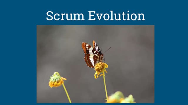 Scrum Evolution - The Complete Guide to the Agile Framework 