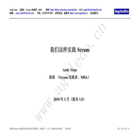 Scrum In Practice－201003