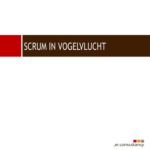 Scrum in vogelvlucht