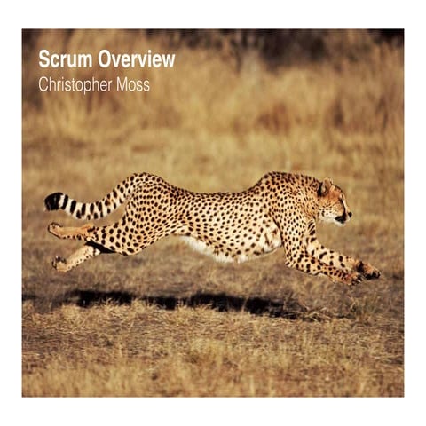 Scrum Overview