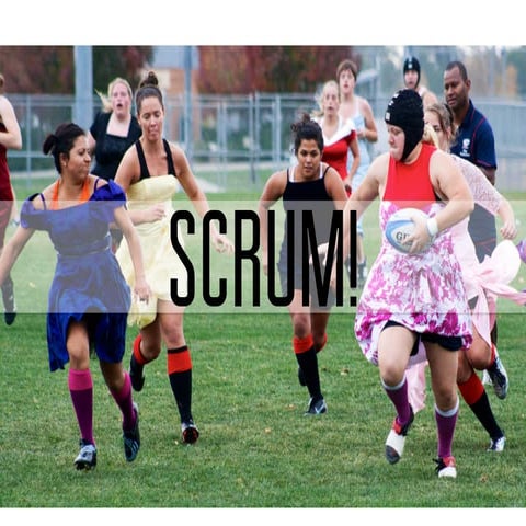 Scrum! v1.1