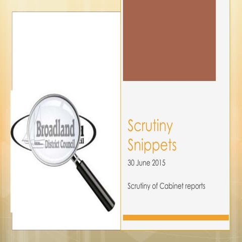 Scrutiny snippets 30 June 2015