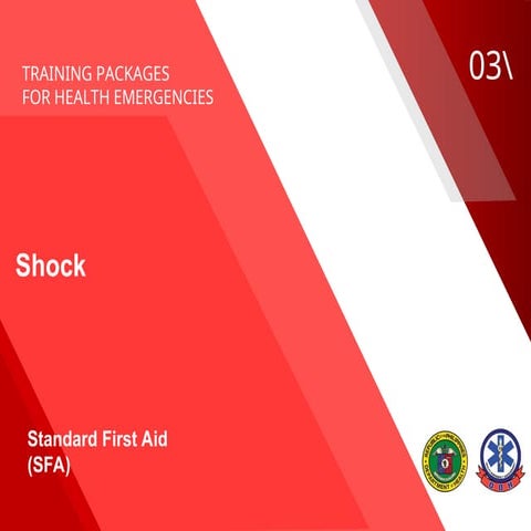 Comprehensive Standard First Aid Training: Recognizing and Managing ...
