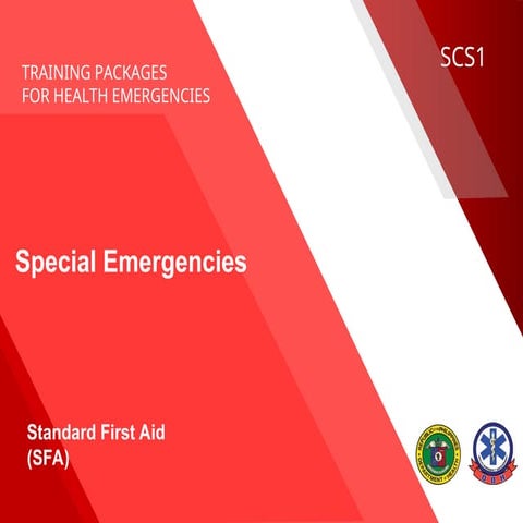 Comprehensive Standard First Aid Training for Health Emergencies | PPT