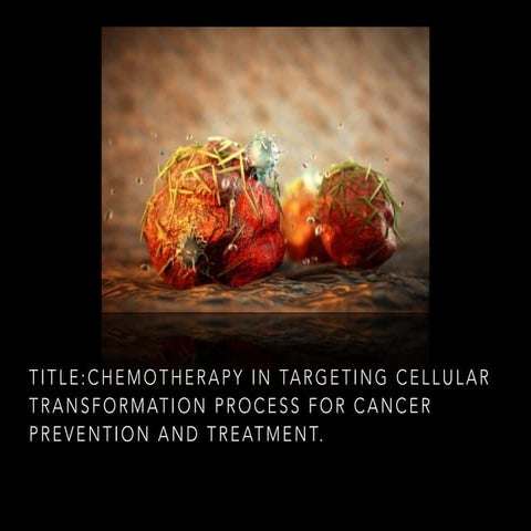 SCT60103 - Chemotherapy 