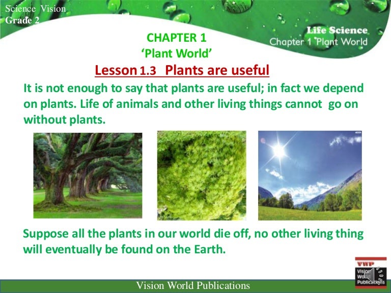 Sc v 2 ch 1 lsn 3 uses of plants