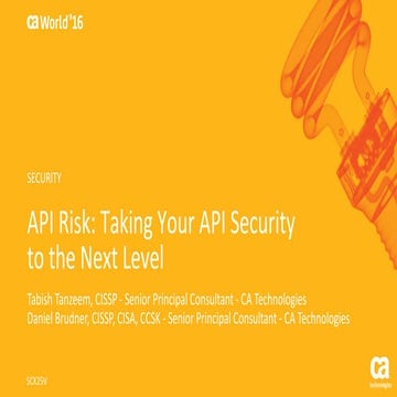 API Risk: Taking Your API Security to the Next Level
