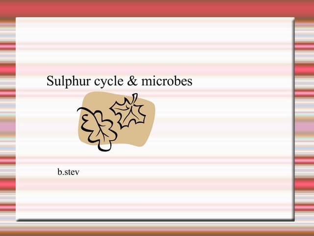Sulphur cycle & microbes