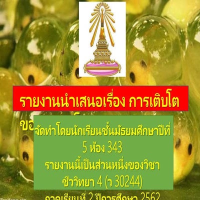 การเจริญเติบโตของเอมบริโอ กลุ่ม 10 ห้อง 343