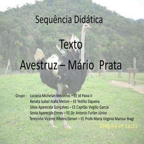 Sequencia didática texto avestruz | PPT