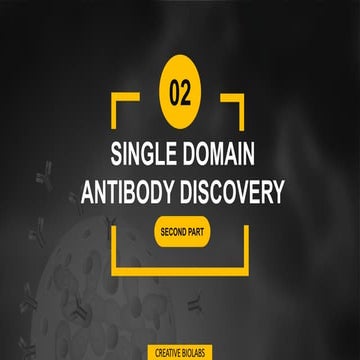 SINGLE DOMAIN ANTIBODY DISCOVERY | PDF