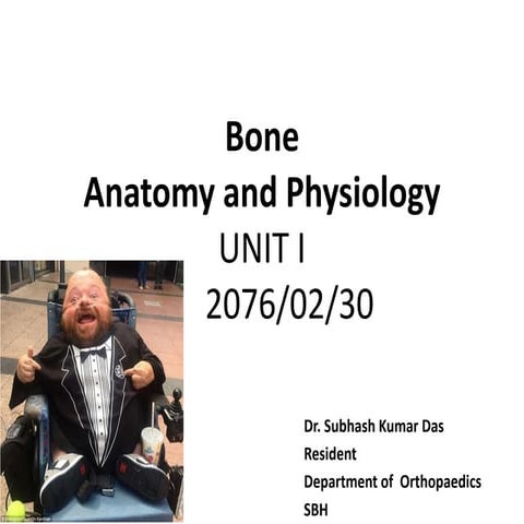  Anatomy and physiology of a bone ( orthopedics)