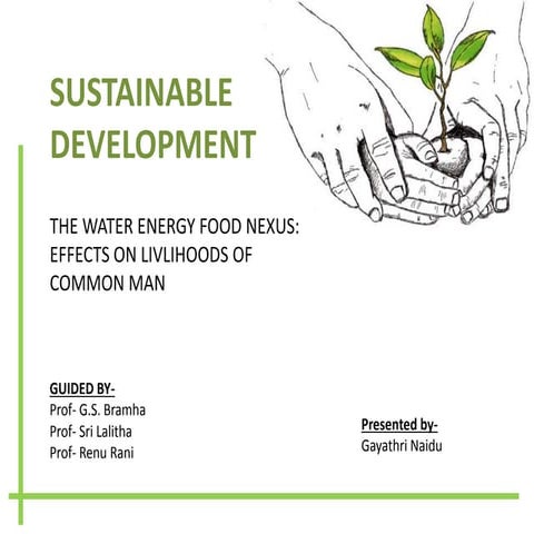 SUSTAINABLE DEVELOPMENT 
