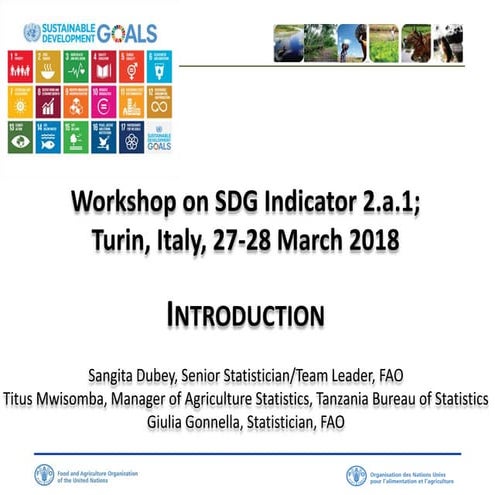 Workshop on SDG Indicator 2.a.1, Turin, Italy, March 2018 - Course introduction