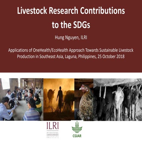 Livestock research contributions to the Sustainable Development Goals