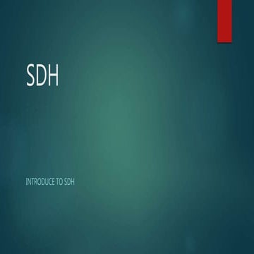 Sdh/pdh/sonet