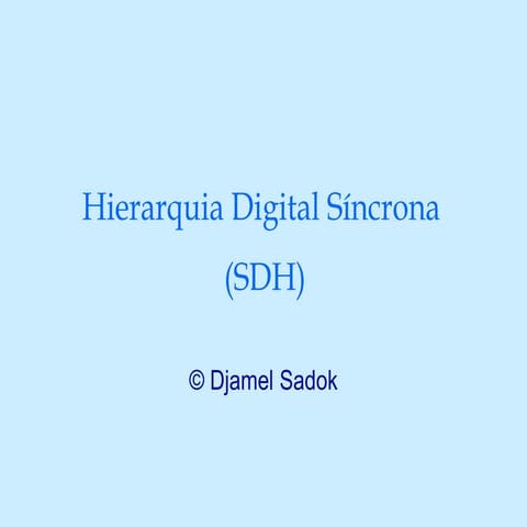SDH-grad (2).ppt