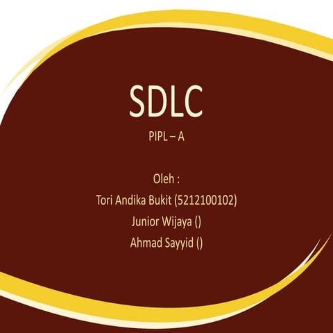 Sdlc