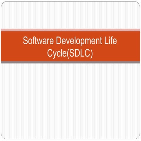 System Development Life Cycle