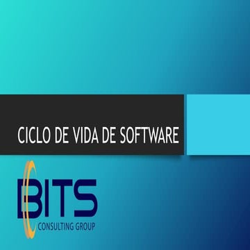 Software Development Life Cycle