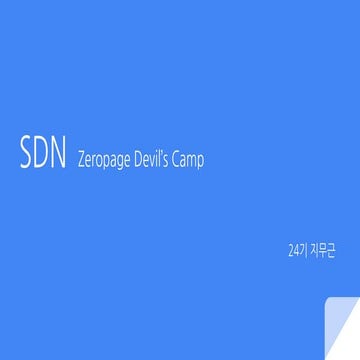 SDN - 2018 Zeropage Devil's Camp