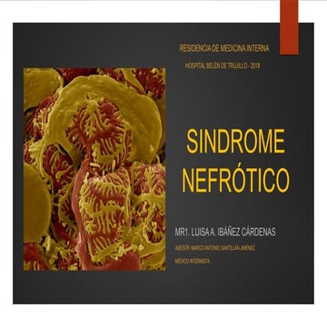 sd nefrotico.pdf