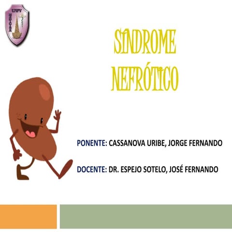 Sd nefrotico y sd nefritico grupo del dr.espejo sotelo