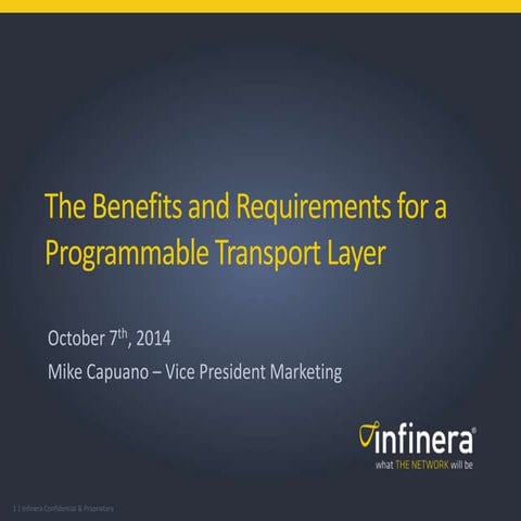 The Benefits and Requirements for a Programmable Transport Layer