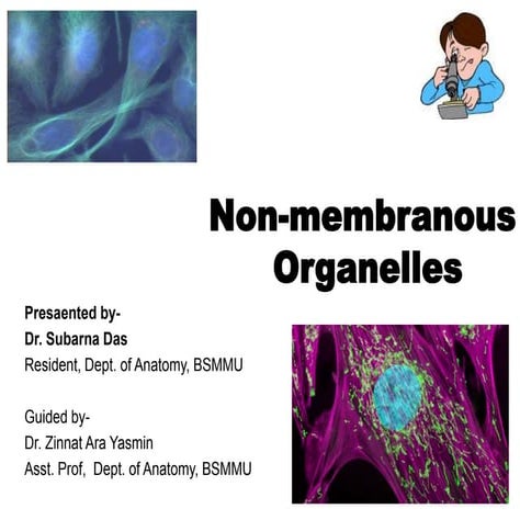 Non-membranous Organelles