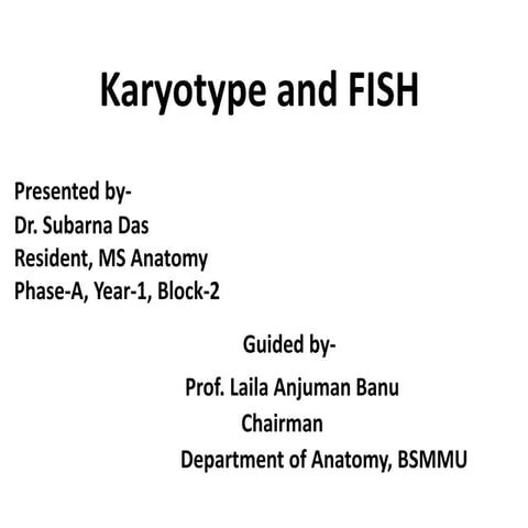 Karyotype and FISH