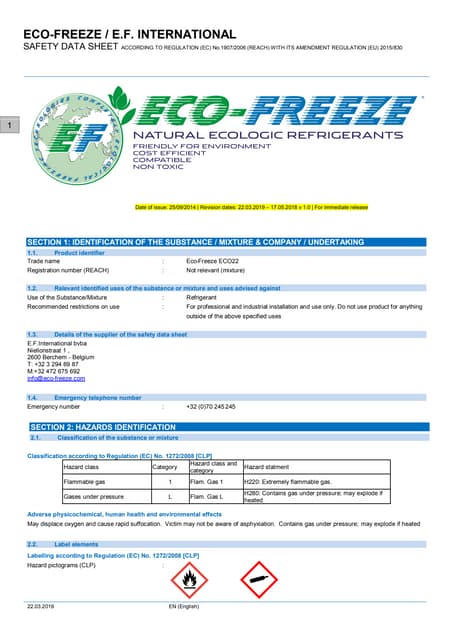 SAFETY DATA SHEET ECO22