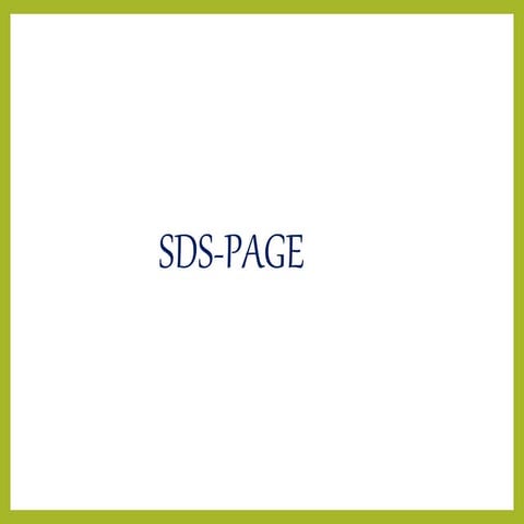 SDS PAGE
