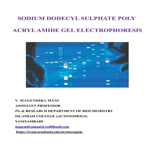 Sodium Dodecyl Poly Acryl AMide Gel electrophoresis (SDS-PAGE)