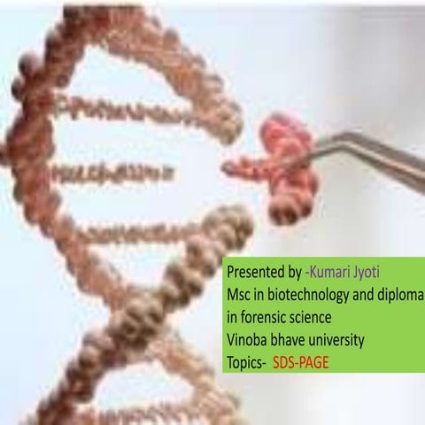 Sds page electrophoresis