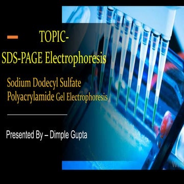 SDS-PAGE  Electrophoresis