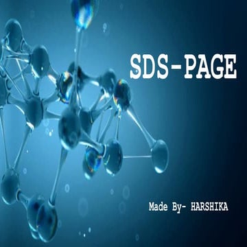 Sodium Dodecyl Sulfate Polyacrylamide Gel Electrophoresis (SDS-PAGE ...
