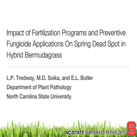 Impact of Fertilization Programs and Preventive Fungicides on Spring Dead Spot