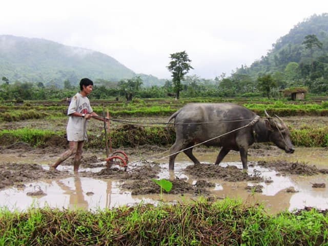 Future Availability of Minerals:Sustainable Development & the Research Agenda