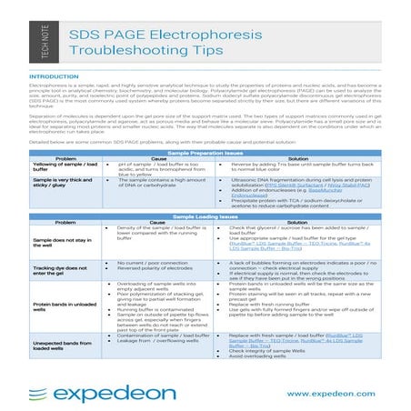 Sds page Electrophoresis Troubleshooting Tips