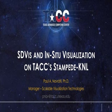 SDVIs and In-Situ Visualization on TACC's Stampede