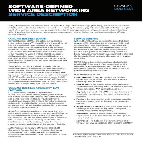 SD Wan service description