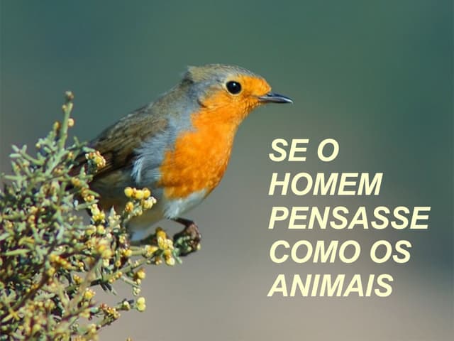 Se o homem pensasse como | PPS