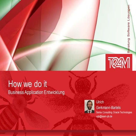 SE 2010: how we do it