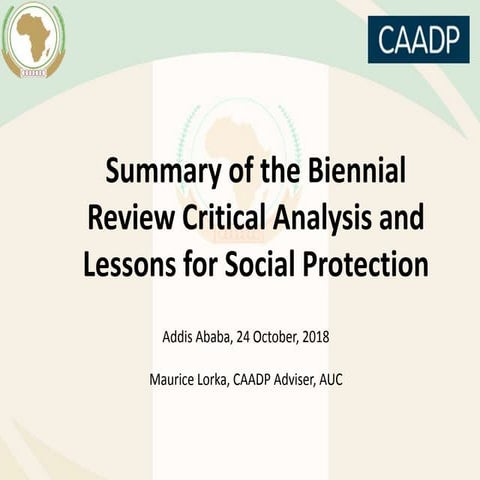 Summary of the Biennial Review Critical Analysis and Lessons for Social Prote...
